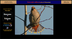 Desktop Screenshot of digiscoping.ca